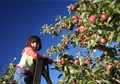 Why Metz - Sustainability foodservice management sustainability